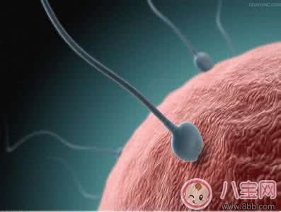 備孕不成功原因多 求助醫(yī)生來幫忙 備孕不成功原因多 求助醫(yī)生來幫忙