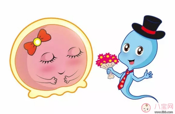 排卵藥可以增加雙胞胎幾率嗎 排卵藥能懷雙胞胎嗎