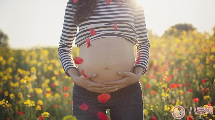 懷孕了可以做什么運動 這三種運動對準媽媽好 懷孕了可以做什么運動 這三種運動對準媽媽好