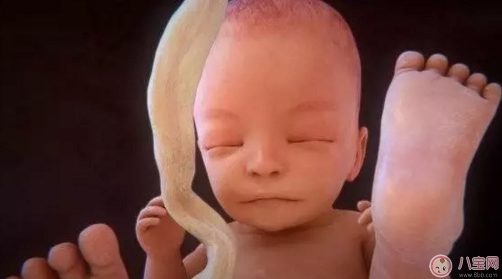 胎盤晚熟預產期會推遲嗎 胎盤成熟度1級能分娩嗎 胎盤晚熟預產期會推遲嗎 胎盤成熟度1級能分娩嗎