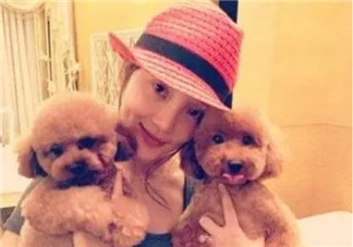 養寵物的孕婦應該做哪些檢查 為什么明星懷孕了能養寵物