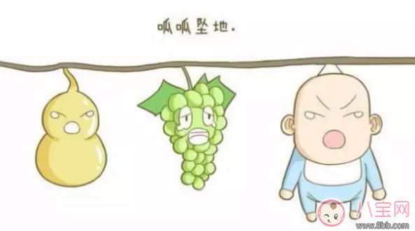 生產后的寶寶出生后去哪了 寶寶出生后就被抱走是為什么 生產后的寶寶出生后去哪了 寶寶出生后就被抱走是為什么