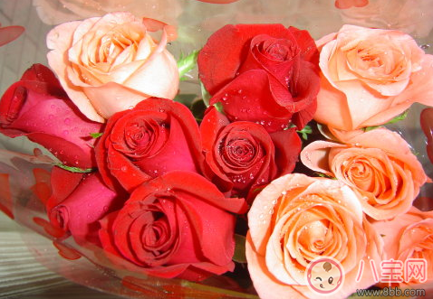 十年錫婚有什么講究 十年錫婚的含義2017 十年錫婚有什么講究 十年錫婚的含義2017