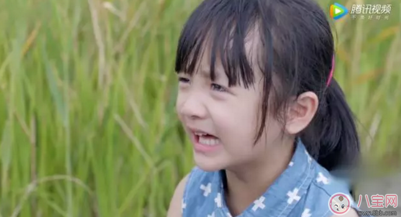 《美味奇緣》看了想睡覺！《美味奇緣》故事主線是什么？