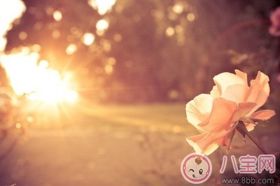 微博網易云里用爛了的評論 剖析為什么用爛了依舊戳心 微博網易云里用爛了的評論 剖析為什么用爛了依舊戳心