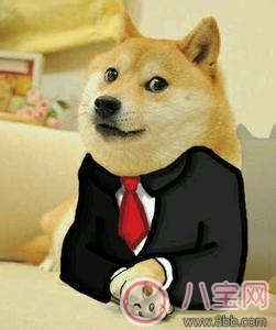 祖國花朵專用雨衣 給寶寶選什么雨衣好 祖國花朵專用雨衣 給寶寶選什么雨衣好