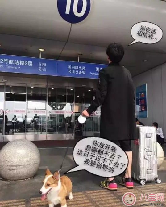 人生巔峰的薛之謙為什么把所有的一往情深都給了同一個人? 人生巔峰的薛之謙為什么把所有的一往情深都給了同一個人?