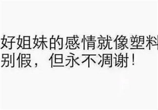 塑料姐妹花永遠不分家?塑料花友誼什么意思 娛樂圈那些塑料花姐妹友誼