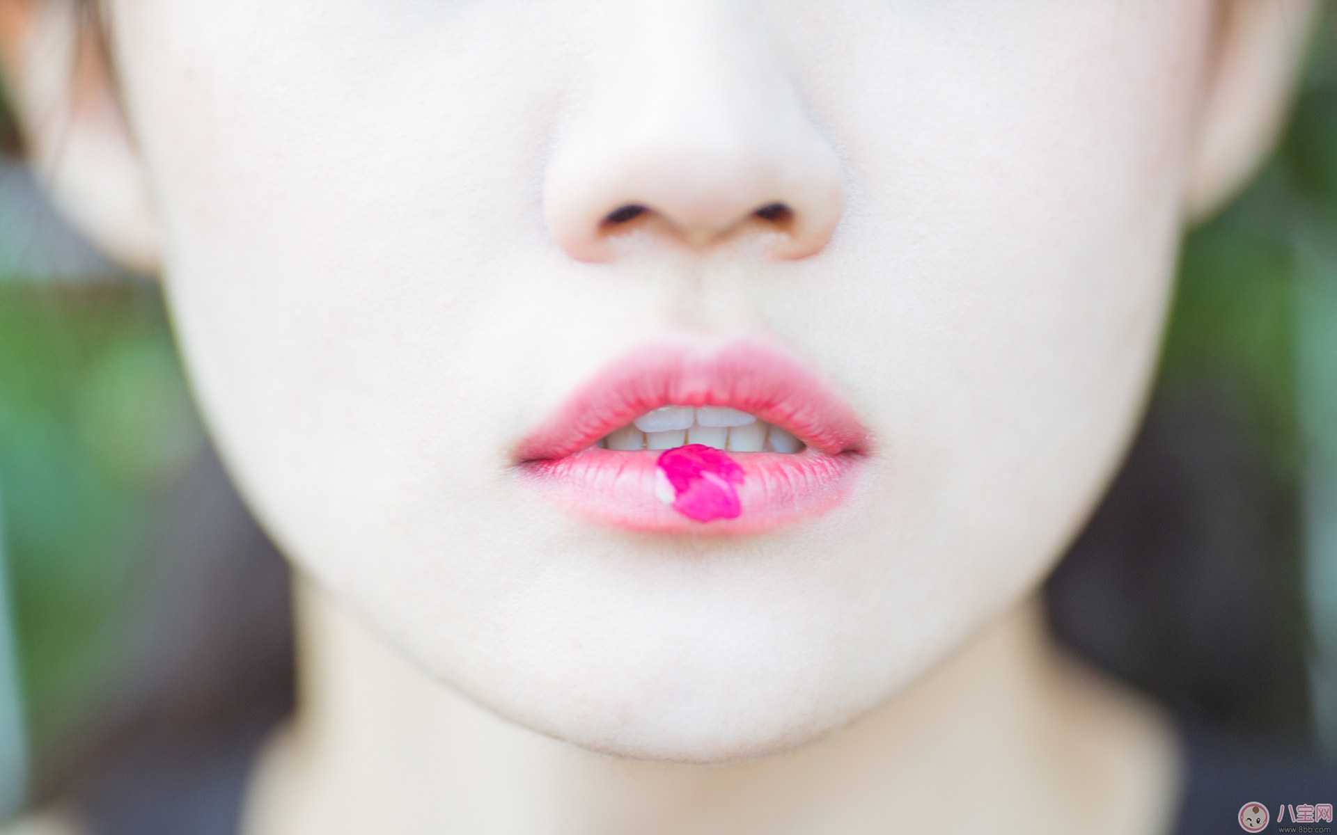 邵衍余念小說死也不會愛你全文txt免費閱讀  邵衍余念小說死也不會愛你免費下載地址