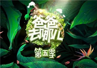 《爸爸去哪兒》第五季被傳停播的真實原因?湖南臺這樣做的幕后真相…… 《爸爸去哪兒》第五季被傳停播的真實原因?湖南臺這樣做的幕后真相……