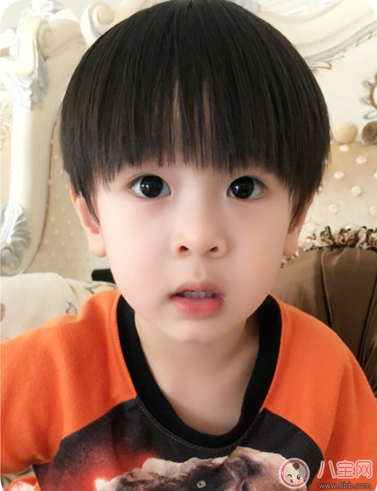《爸爸去哪兒》吳尊寶貝max正面照 max正臉高清圖片 《爸爸去哪兒》吳尊寶貝max正面照 max正臉高清圖片