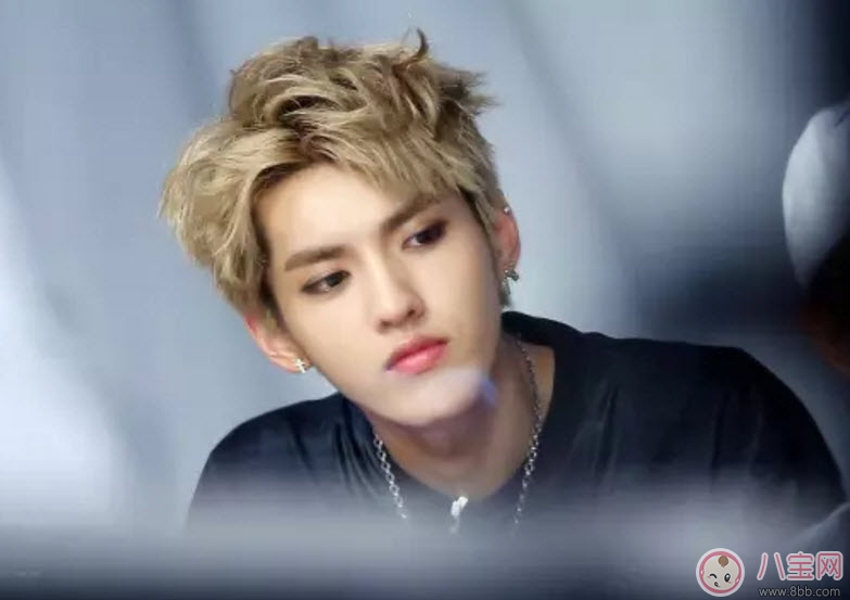 吳亦凡菠蘿頭發(fā)型圖片 2017吳亦凡發(fā)型圖片盤點(diǎn)