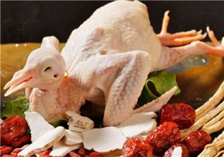 孕婦可以吃鴿子肉嗎 孕婦喝鴿子湯的營養好處