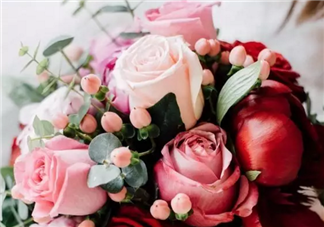 七夕節送什么花給老婆 怎么送花更浪漫