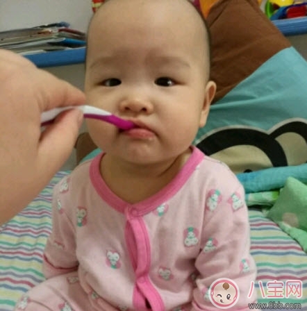 小白熊輔食機怎么樣 小白熊輔食機好用嗎(小白熊輔食機0673測評) 小白熊輔食機怎么樣 小白熊輔食機好用嗎(小白熊輔食機0673測評)