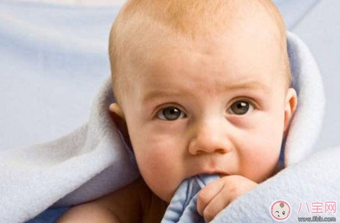 寶寶圍嘴哪種好 寶寶圍嘴如何選擇(尺寸材質顏色有講究) 寶寶圍嘴哪種好 寶寶圍嘴如何選擇(尺寸材質顏色有講究)