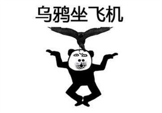 烏鴉坐飛機什么梗 阿福烏鴉坐飛機第幾集