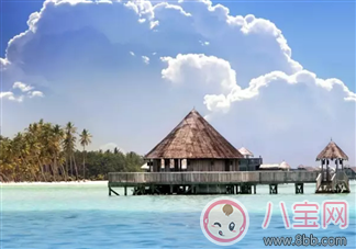 讓周冬雨欲罷不能的中餐廳明星菜式制作合集