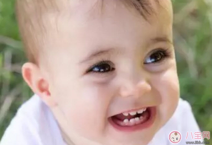 寶寶長牙期間吃什么好 寶寶長牙吃什么輔食食譜