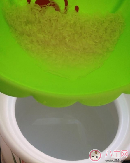 寶寶不吃飯 試試蘋果美味粥   