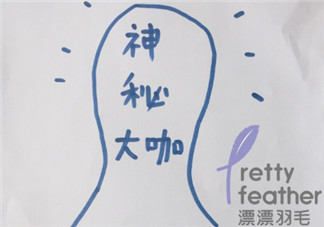 漂漂羽毛發布會明星 漂漂羽毛品牌故事