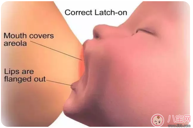 母乳喂養很艱難 別不小心走到坑里面去了 母乳喂養很艱難 別不小心走到坑里面去了