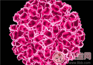 秋季如何預防腸病毒  腸病毒的危害知多少