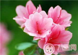 產后腰酸背痛的原因  如何緩解癥狀