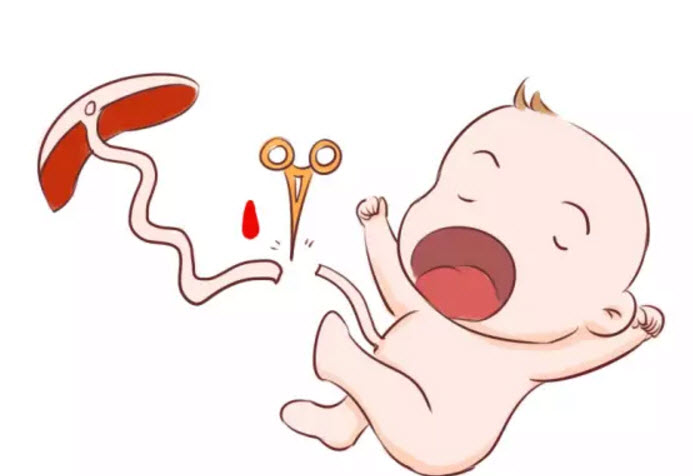 寶寶臍帶血有必要保存嗎 寶寶的臍帶血應該如何處理 寶寶臍帶血有必要保存嗎 寶寶的臍帶血應該如何處理