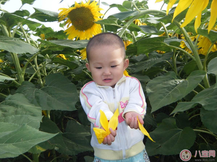 孩子一不聽話就打屁股 孩子不聽話的幾率會更高 孩子一不聽話就打屁股 孩子不聽話的幾率會更高