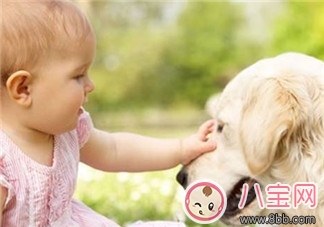 寶寶被各種寵物抓咬傷的緊急處理措施