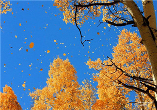 如何預防嬰幼兒秋燥癥  寶寶秋燥癥怎么吃