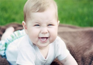 寶寶吃米糊天天放屁 孩子應該如何吃米糊