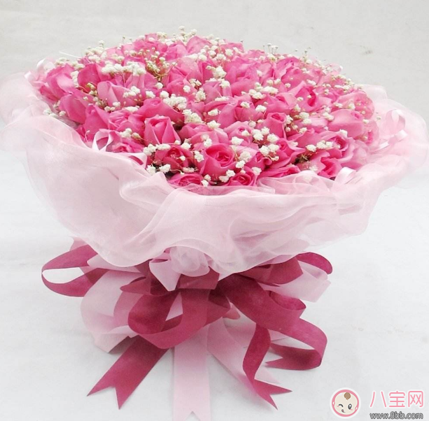 教師節(jié)送花只知道康乃馨怎么行 2017最適合送老師花推薦 教師節(jié)送花只知道康乃馨怎么行 2017最適合送老師花推薦