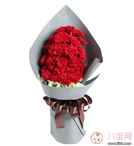 教師節(jié)送花只知道康乃馨怎么行 2017最適合送老師花推薦 教師節(jié)送花只知道康乃馨怎么行 2017最適合送老師花推薦