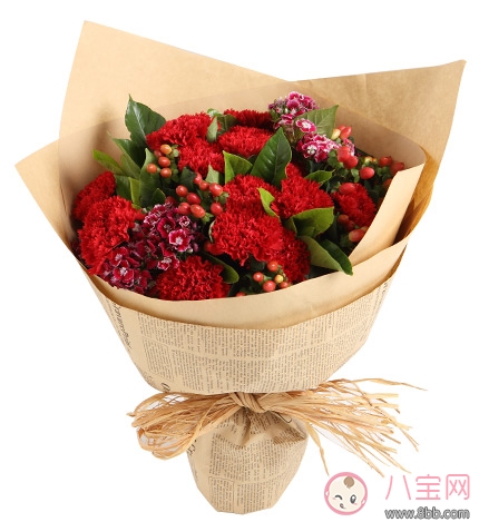 教師節(jié)送花只知道康乃馨怎么行 2017最適合送老師花推薦 教師節(jié)送花只知道康乃馨怎么行 2017最適合送老師花推薦