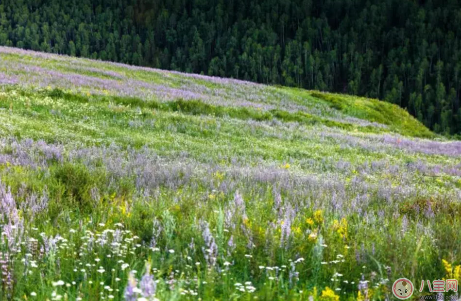 2017處女月七夕節自駕游旅游攻略