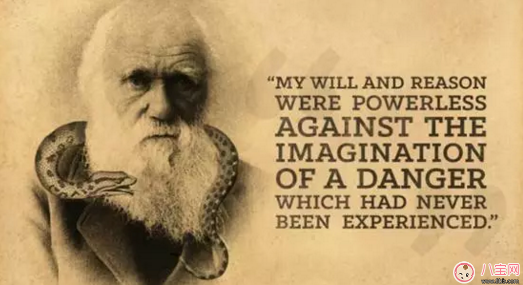 2017七夕節文藝匯演寶寶怯場原因 2017七夕節文藝匯演寶寶怯場原因