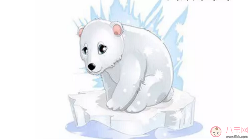 睡前故事 小熊找媽媽 睡前故事 小熊找媽媽