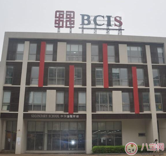 安吉上學(xué)了眼睛居然有點(diǎn)濕潤 安吉上學(xué)去的哪個學(xué)校 安吉上學(xué)了眼睛居然有點(diǎn)濕潤 安吉上學(xué)去的哪個學(xué)校