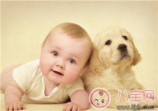 寶寶自閉癥怎么辦  如何讓自閉癥寶寶健康成長