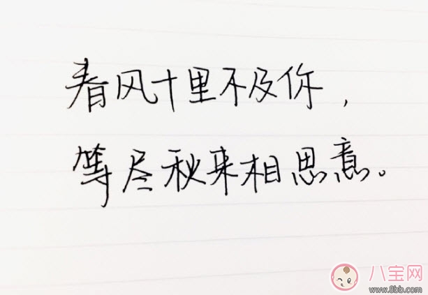 春風(fēng)體是什么意思 春風(fēng)十里不如你春風(fēng)體挑戰(zhàn) 春風(fēng)體是什么意思 春風(fēng)十里不如你春風(fēng)體挑戰(zhàn)