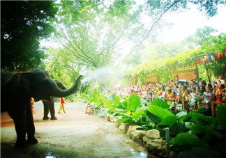 2017七夕節全家出游攻略 帶娃出行怎么做