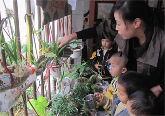 夏季帶孩子養(yǎng)植物養(yǎng)什么植物好 和孩子養(yǎng)植物成長(zhǎng)快