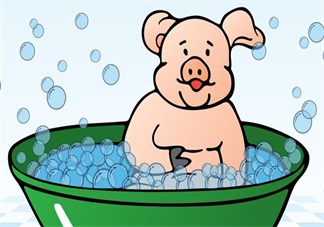 胎寶寶愛聽的胎教故事：小豬萌萌不洗澡