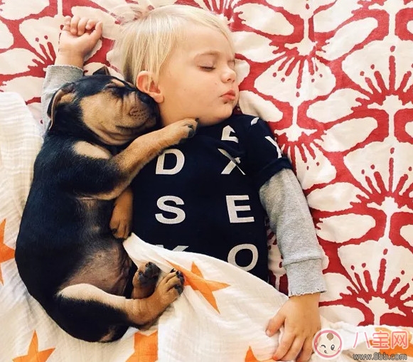 夏天寶寶要不要午睡 小孩夏天午睡好處(有助于幼兒語言發展) 夏天寶寶要不要午睡 小孩夏天午睡好處(有助于幼兒語言發展)