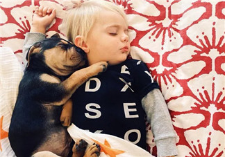 夏天寶寶要不要午睡 小孩夏天午睡好處(有助于幼兒語言發展)