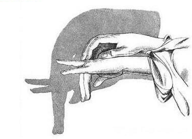 親子游戲手影玩法 有意思的手影推薦 親子游戲手影玩法 有意思的手影推薦