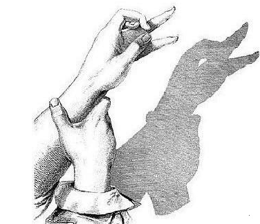 親子游戲手影玩法 有意思的手影推薦 親子游戲手影玩法 有意思的手影推薦