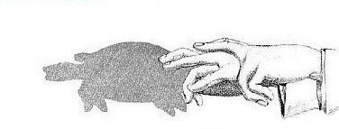 親子游戲手影玩法 有意思的手影推薦 親子游戲手影玩法 有意思的手影推薦